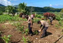Polsek Kei Besar Perkuat Ketahanan Pangan di Maluku Tenggara
