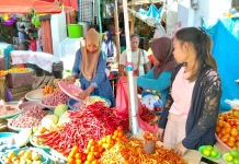 Harga Cabai Fluktuatif  di Ambon, Pasokan Bergantung Daerah Penyanggah