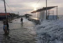 Potensi Banjir Rob Ancam Sejumlah Pesisir Maluku