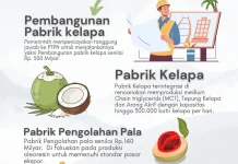 Bupati Malteng Pastikan Pembangunan Pabrik Kelapa Terintegrasi