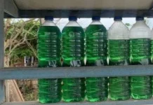 Dua Hari Kosong, Pertalite di Leihitu Kembali Tersedia