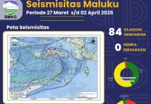 Seismisitas Maluku Capai 84 Kejadian Gempa Sepekan