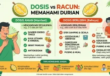 Kenali Manfaat dan Risiko Konsumsi Durian Berlebih