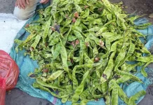 Harga pete di Kota Ambon melonjak Signifikan