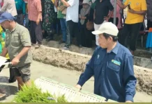 Bendungan Samal Difungsikan, Ribuan Hektare Sawah di Malteng Terairi