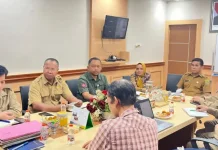 Kejar Ketahanan Pangan, Maluku Percepat Irigasi dan Proteksi Lahan Pertanian