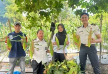 Panen Jagung Tahap Ketiga, Konsistensi Pembinaan Kemandirian Warga Binaan