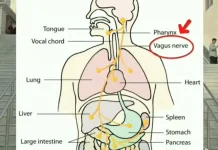 Sofyan Umarella Jelaskan Manfaat Medis Air Mata