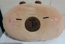 Manfaat Bantal Karakter