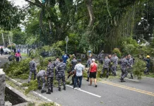 Cegah Pohon Tumbang, Kodaeral IX  Bersinergi Pangkas Pohon di Jalan Piere Tendean