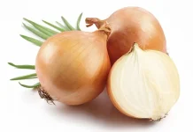 Bawang Bombai Tingkatkan Kesehatan Jantung dan Imun Tubuh