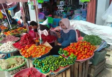 Sempat Tembus Rp40 Ribu, Harga Tomat di Ambon Kini Turun Tipis