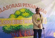 Lestarikan Pesisir Tulehu, Pemkab Malteng Apresiasi Aksi Tanam 5.000 Mangrove