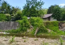 Kerap Banjir, Mairuhu Minta BWS Normalisasi Sungai Wailawa