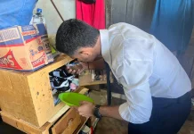 Komitmen Zero Halinar, Lapas Dobo lakukan Razia Kamar Hunian