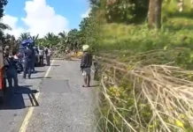 Cengkeh Jadi Pemicu Bara, Warga Seriholo Lumpuhkan Akses Jalan Lintas Seram