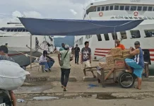Dukung UMKM Naik Kelas, Pemprov Maluku Dorong Pembangunan Pelabuhan Terpadu