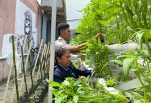 Mandiri Pangan, Lapas Wahai Penuhi Kebutuhan Gizi Dapur dari Kebun Hidroponik