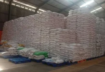 Bulog Maluku Target Serap 5.000 Ton Beras Petani Lokal