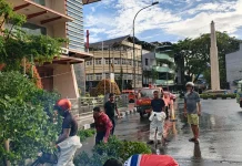 Akses Jalan Terganggu, Damkar Ambon Evakuasi Pohon Tumbang di Kawasan Gereja Silo