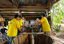 Produk Minyak Kayu  Putih 86 Lapas  Namlea Jadi Daya Tarik