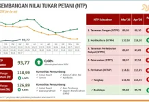 Nilai Tukar Petani Maluku Naik 0,68 Persen, Masih Terendah Secara Nasional