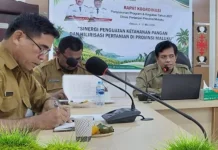 Maluku Kejar Defisit Beras 100 Ribu Ton, Perluas Sawah di Dua Kabupaten