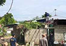 Diguyur Hujan Seharian, Rumah warga di Kawasan Citraland Rusak Tertimpa Pohon