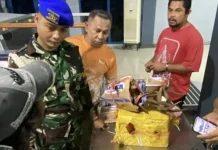 Petugas Gagalkan Penyeludupan Burung Nuri & Tanduk Rusa di Pelabuhan Yos Sudarso