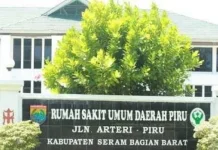 Sejumlah Nakes dan Dokter di RSUD Piru Ancam Mogok Kerja, Ini Alasannya