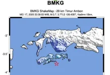 Ambon Diguncang Gempa Magnitudo 3,7, Skala II-III MMI, Tidak Berpotensi Tsunami