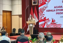Wagub Vanath Nantikan Sinergi Pemprov Maluku dan OJK