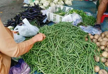 Harga Buncis di Pasar Mardika Ambon Melonjak Rp60 Ribu per Kilogram