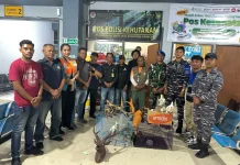 Penyelundupan Satwa Dilindungi & Senjata Tajam di Pelabuhan Ambon Digagalkan