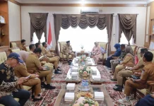 Kunjungan Kerja DPD RI Bahas Layanan Kesehatan Malteng