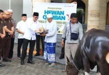 Momen Idul Adha 2026; Kejati Maluku Sumbang Hewan Kurban di Masjid Al-Fatah