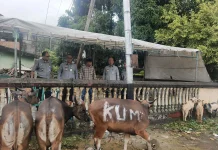 Iduladha Penuh Makna, Kemenkum Maluku Salurkan Hewan Kurban untuk Warga Nania