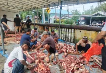 Masjid Jami Nurul Hijrah Sembelih Belasan Kurban, Dibagikan ke Ratusan Warga