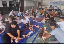 BRI Ambon Berbagi Hewan Kurban, Bersama Pekerja Dasar dan Warga