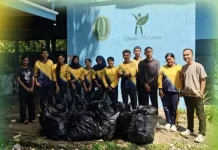 Gandeng Poltekkes Sanitasi, Green Moluccas Gelar Bersih Sampah Hutan Mangrove