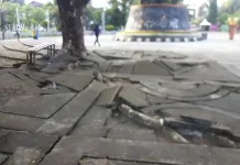 Akar Pohon Rusak Lapisan Beton Pattimura Park, Warga: Mengganggu Kenyamanan