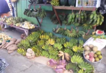 Harga Beras Naik, Umbi-umbian & Pisang Laris Manis di Pasar Mardika Ambon