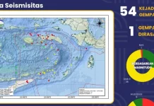 BMKG Catat 54 Gempa Bumi Guncang Maluku Selama Sepekan