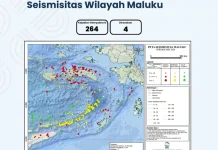 BMKG Catat 264 Kejadian Gempa di Bulan Mei