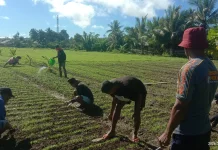 Rutan Masohi Konsisten Dukung Ketahanan Pangan
