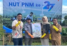 PNM Tanam 29 Ribu Pohon, Perkuat Komitmen Jaga Kelestarian Lingkungan