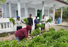 Warga Borong 100 Ikat Kangkung Hidroponik Hasil Garapan Warga Binaan Lapas Geser