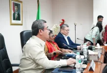 Gubernur Hendrik Paparkan Capaian Pembangunan Maluku ke Wamendagri
