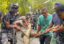 Permudah Akses Warga Tawiri, Kodaeral IX & Masyarakat Bangun Jembatan Gantung