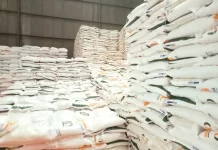 Bulog Jamin Stok Beras & Minyak Goreng di Maluku Aman hingga Oktober 2026